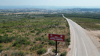 BTSO Hatıra Ormanı.jpg